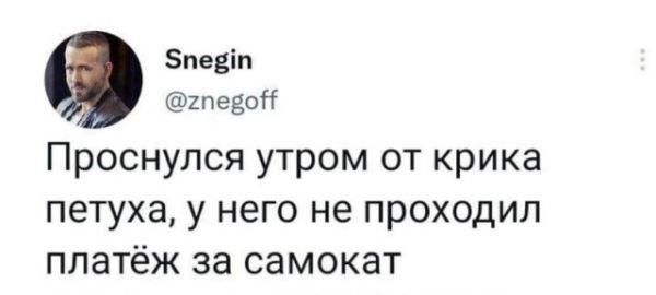 Прикольные комментарии про филологическое образование, остатки пива и многое другое (20 фото)