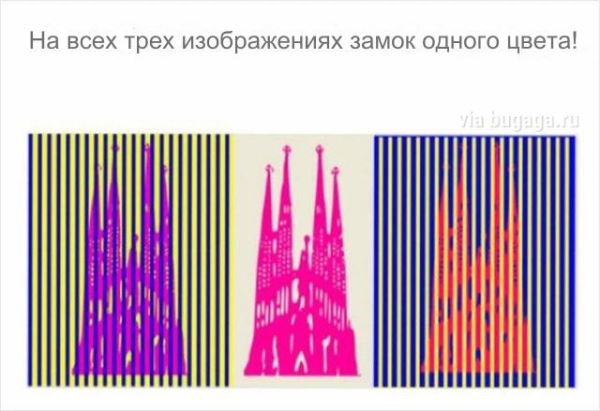 Оптические иллюзии (12 фото)